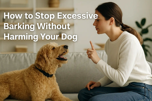 How to Stop Excessive Barking Without Harming Your Dog