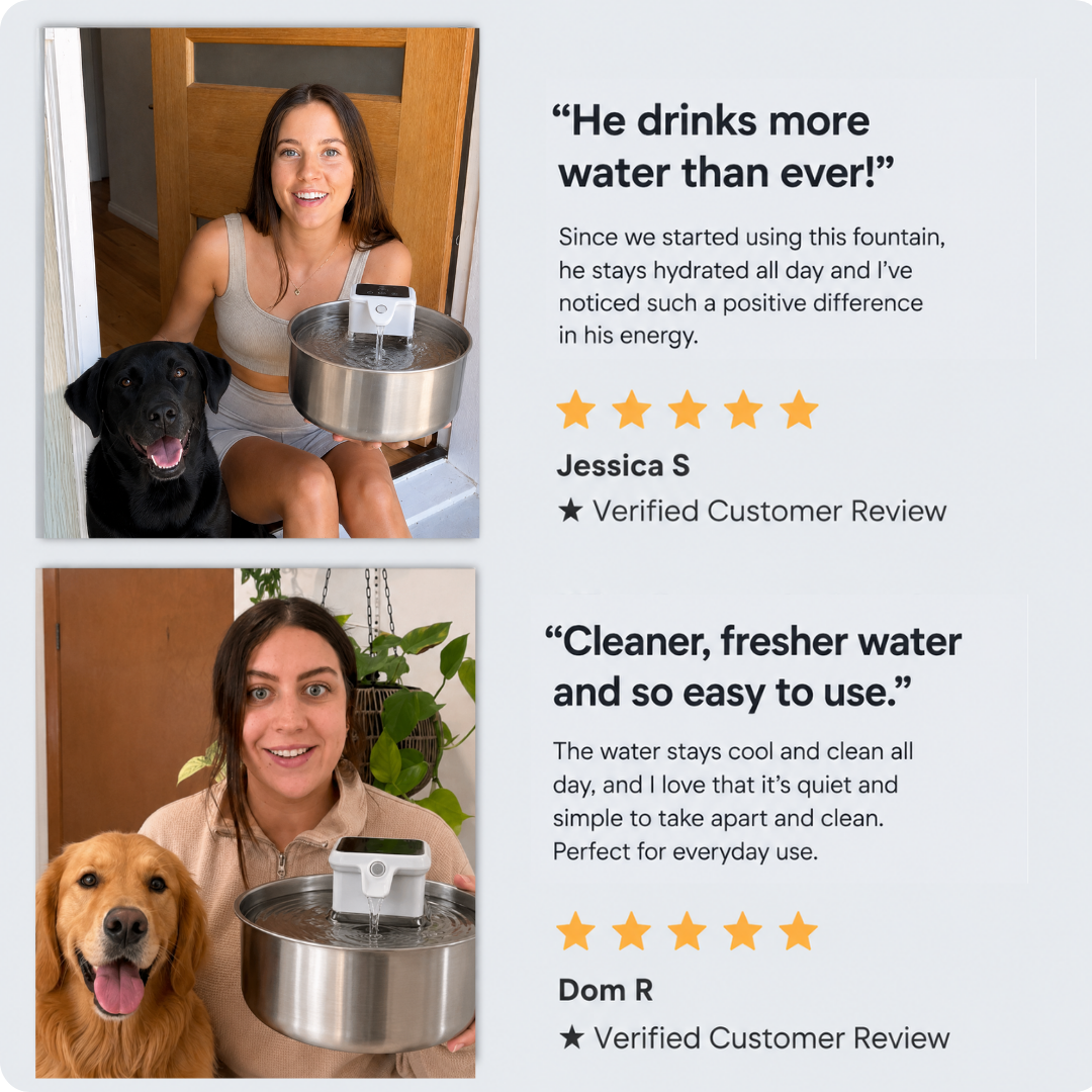FurFlow™ Stainless Steel Water Fountain