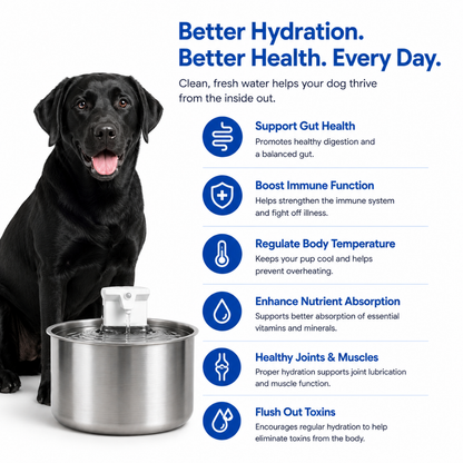 FurFlow™ Stainless Steel Water Fountain